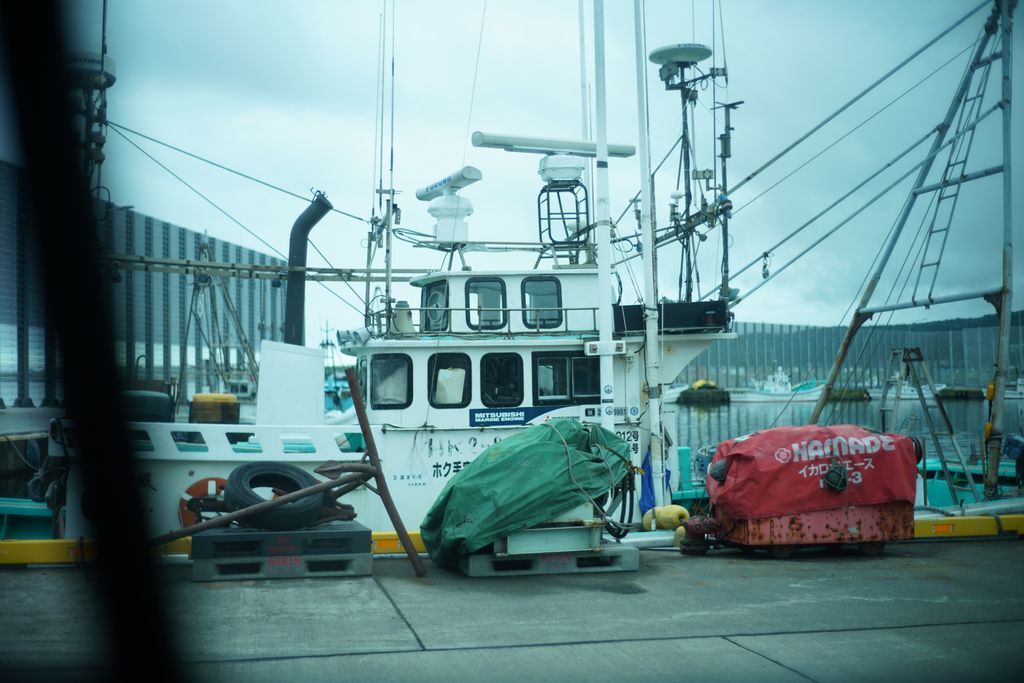 DSC08145.JPG