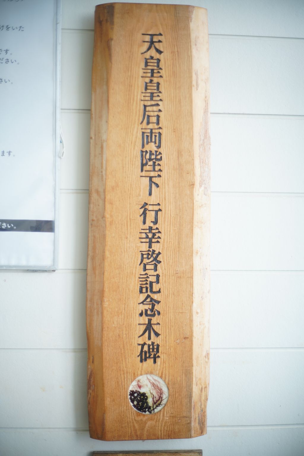 DSC08174.JPG