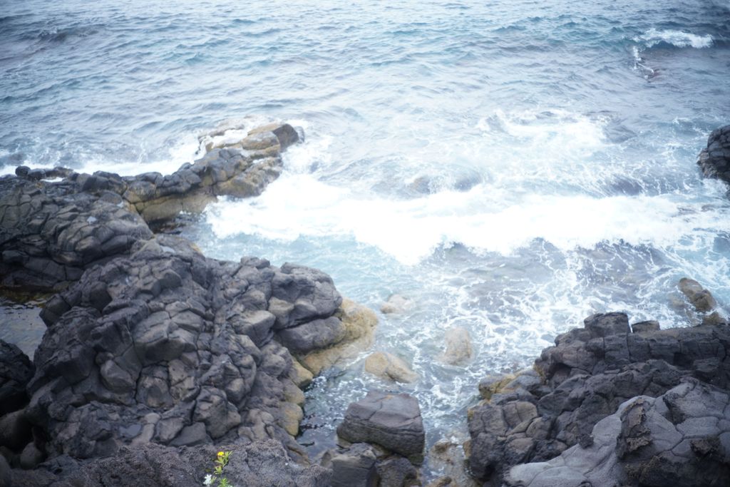 DSC08179.JPG