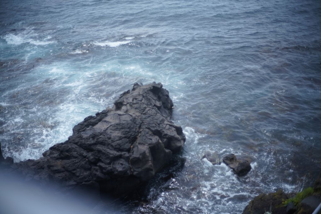 DSC08194.JPG