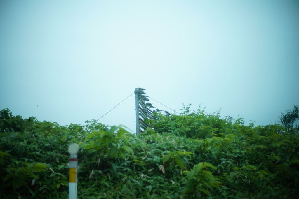 DSC08203.JPG
