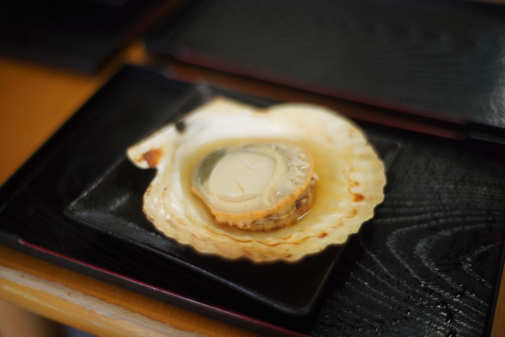 DSC08243.JPG