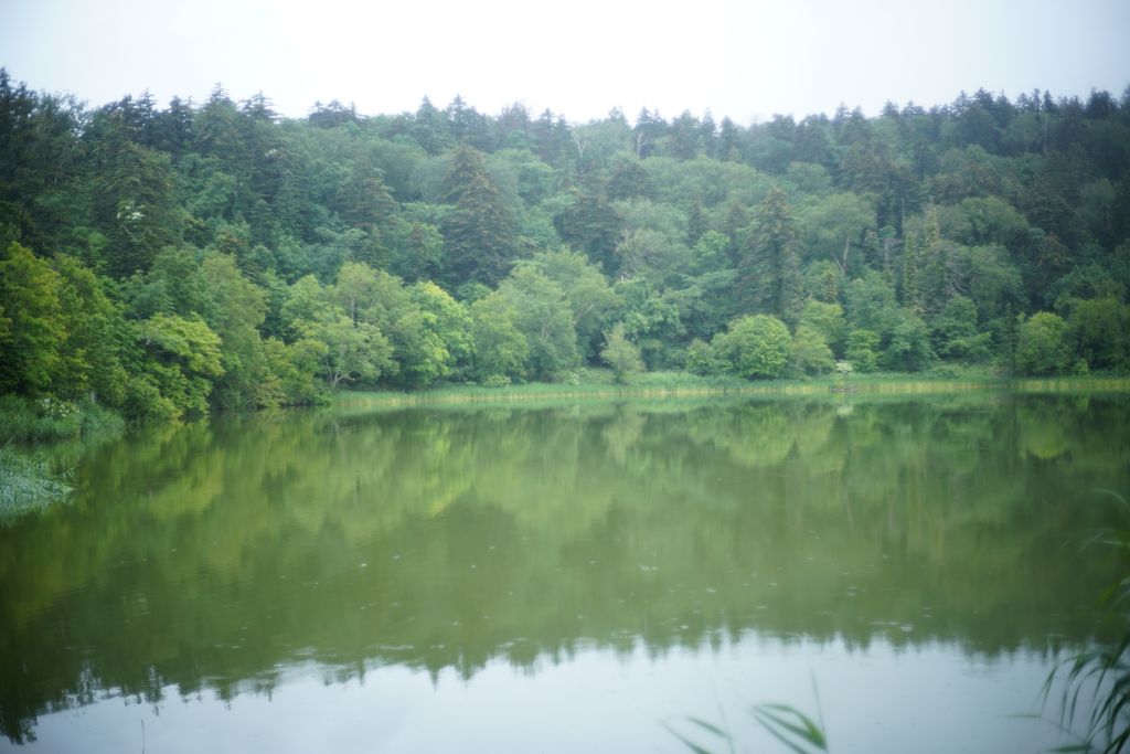 DSC08295.JPG