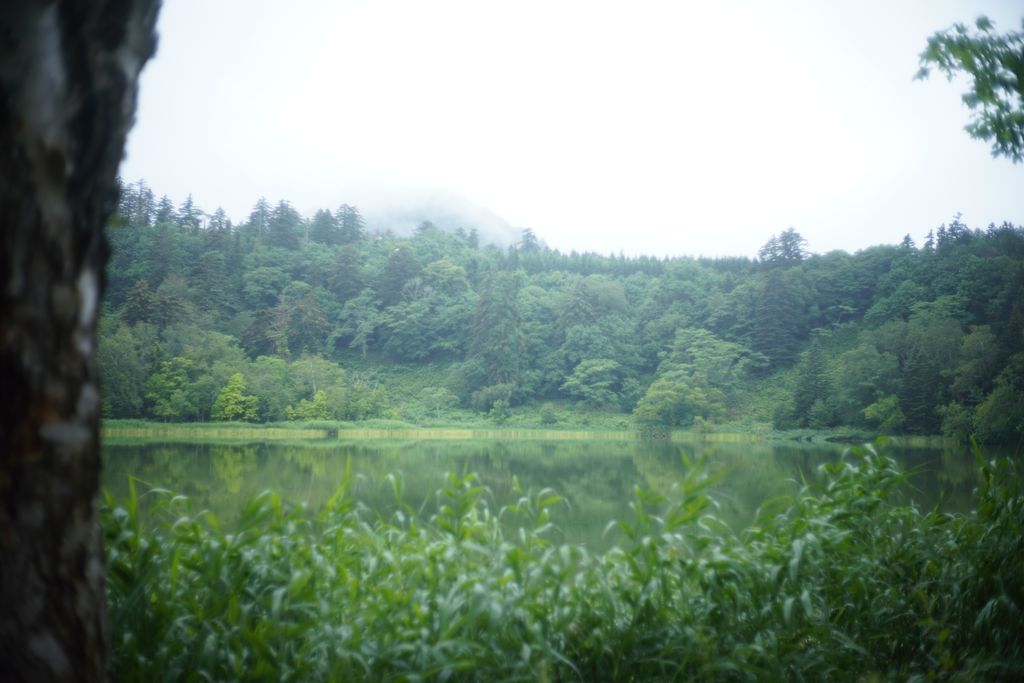DSC08301.JPG