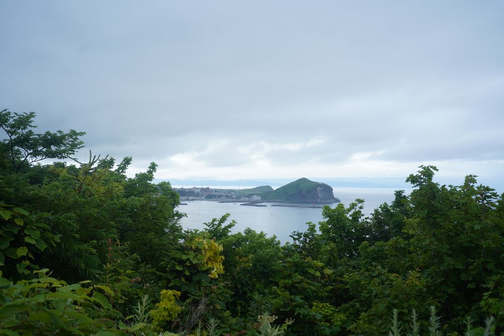 DSC08308.JPG