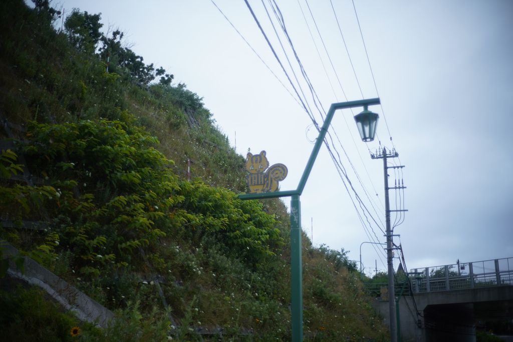 DSC08316.JPG