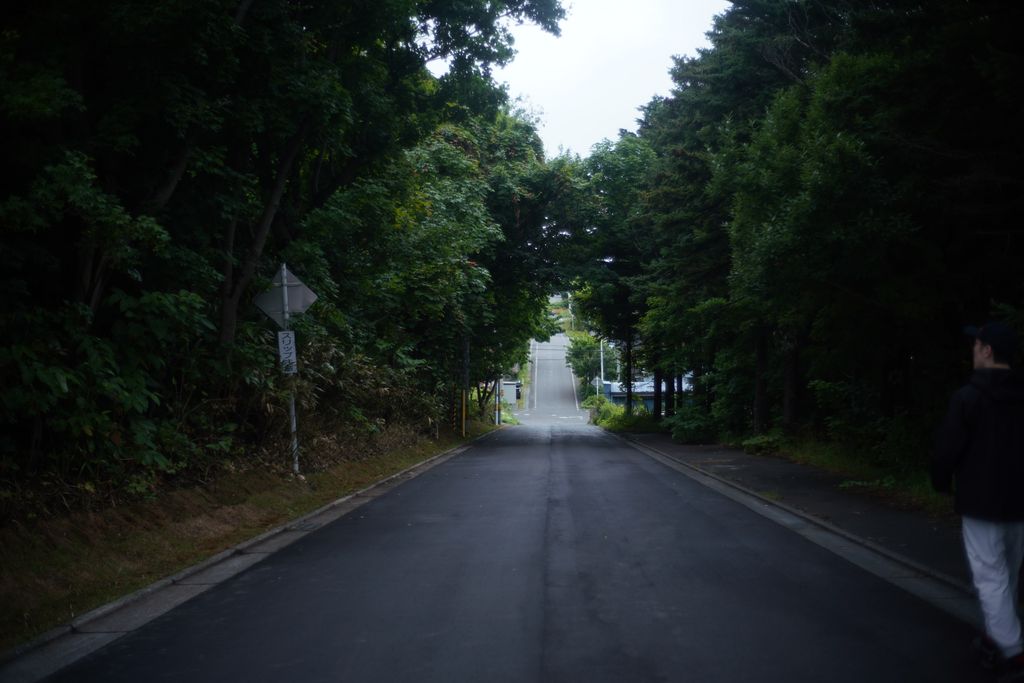 DSC08319.JPG