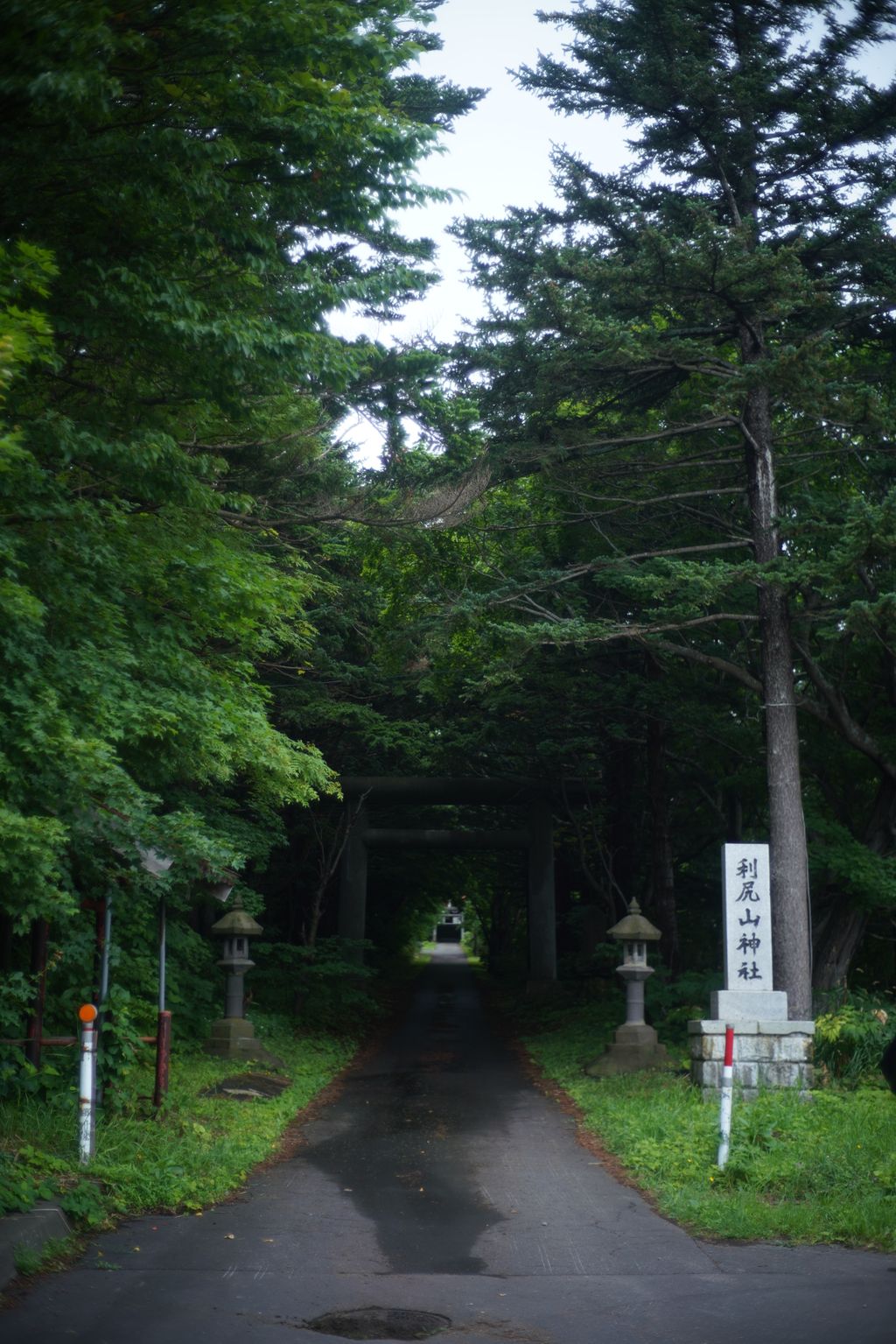 DSC08323.JPG