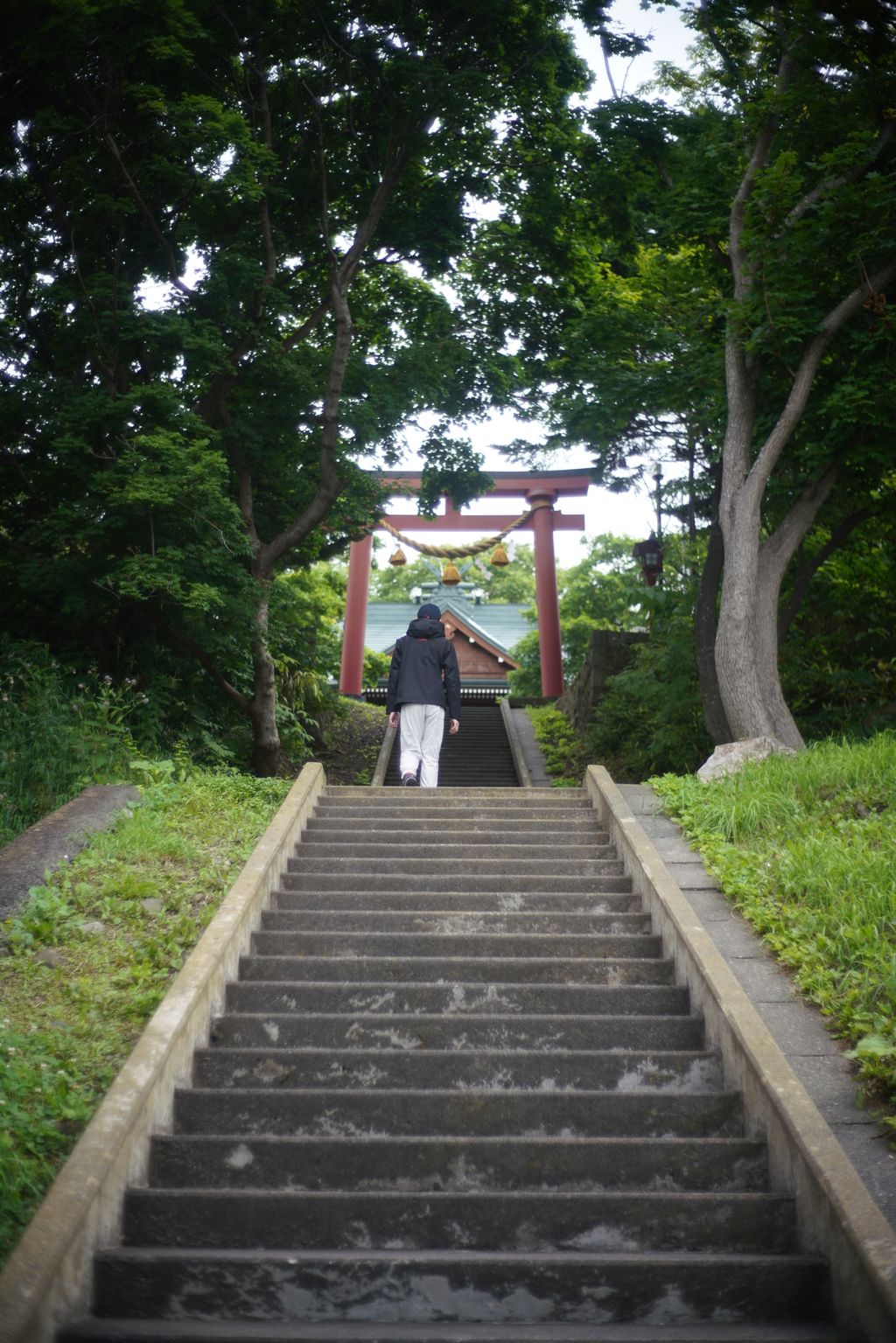 DSC08444.JPG