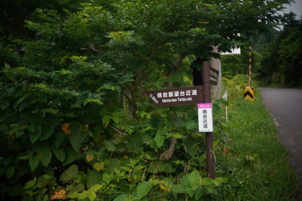 DSC08447.JPG