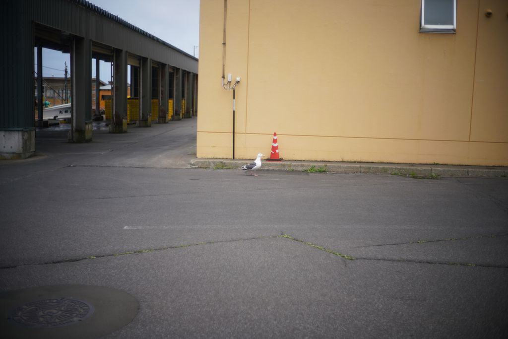 DSC08543.JPG