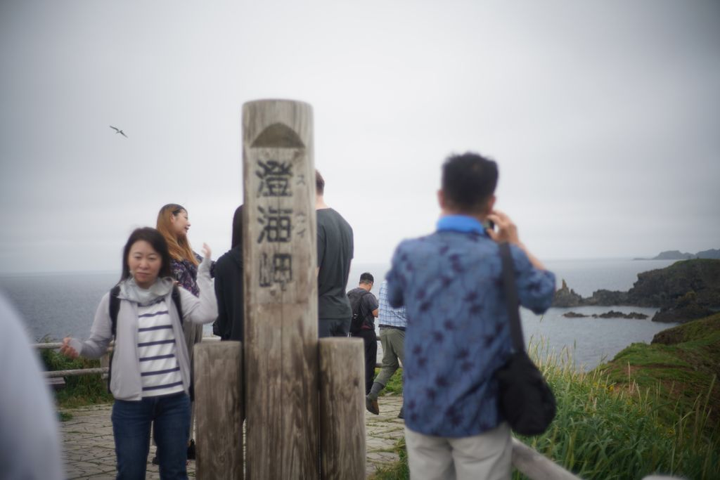 DSC08572.JPG