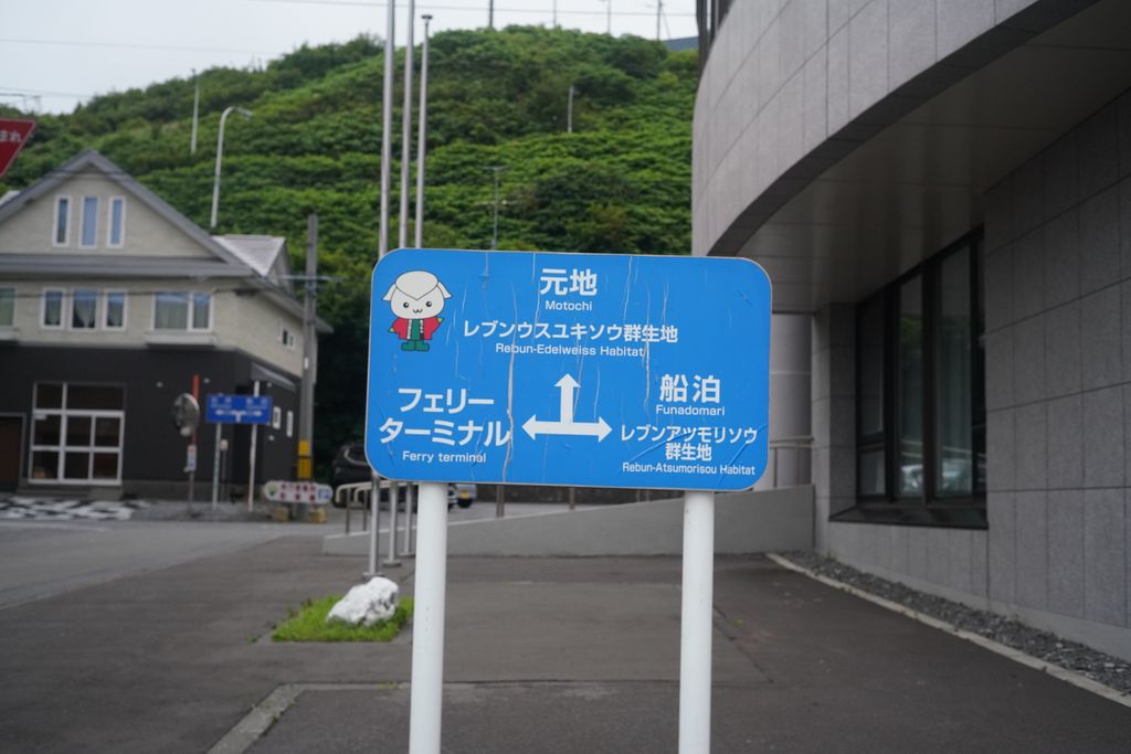 DSC08634.JPG