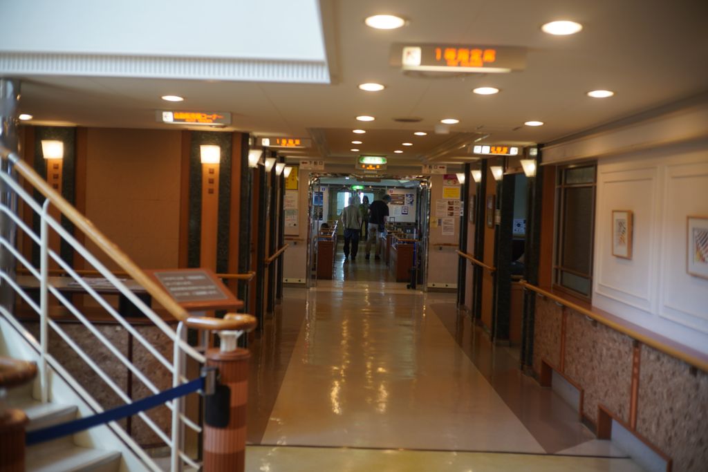 DSC08684.JPG