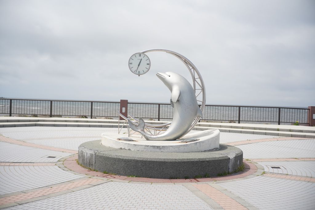 DSC08728.JPG