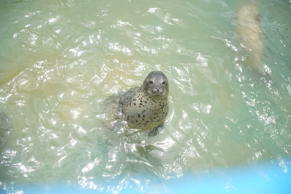 DSC08741.JPG