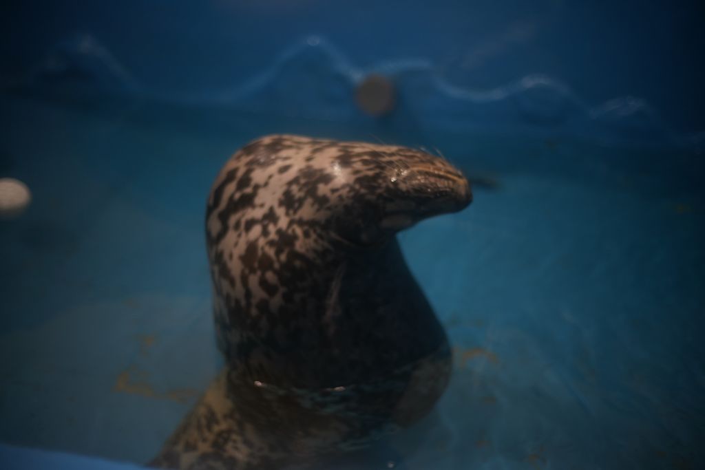 DSC08773.JPG
