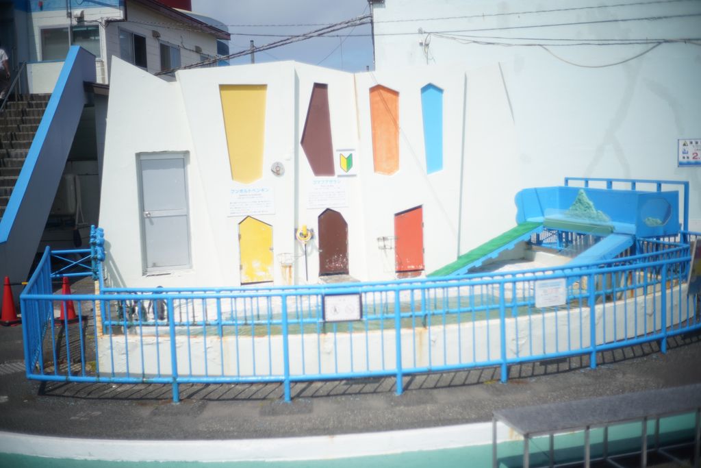 DSC08791.JPG