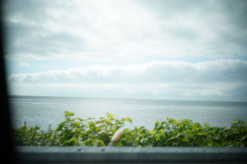 DSC08809.JPG