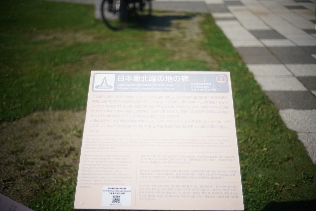 DSC08817.JPG