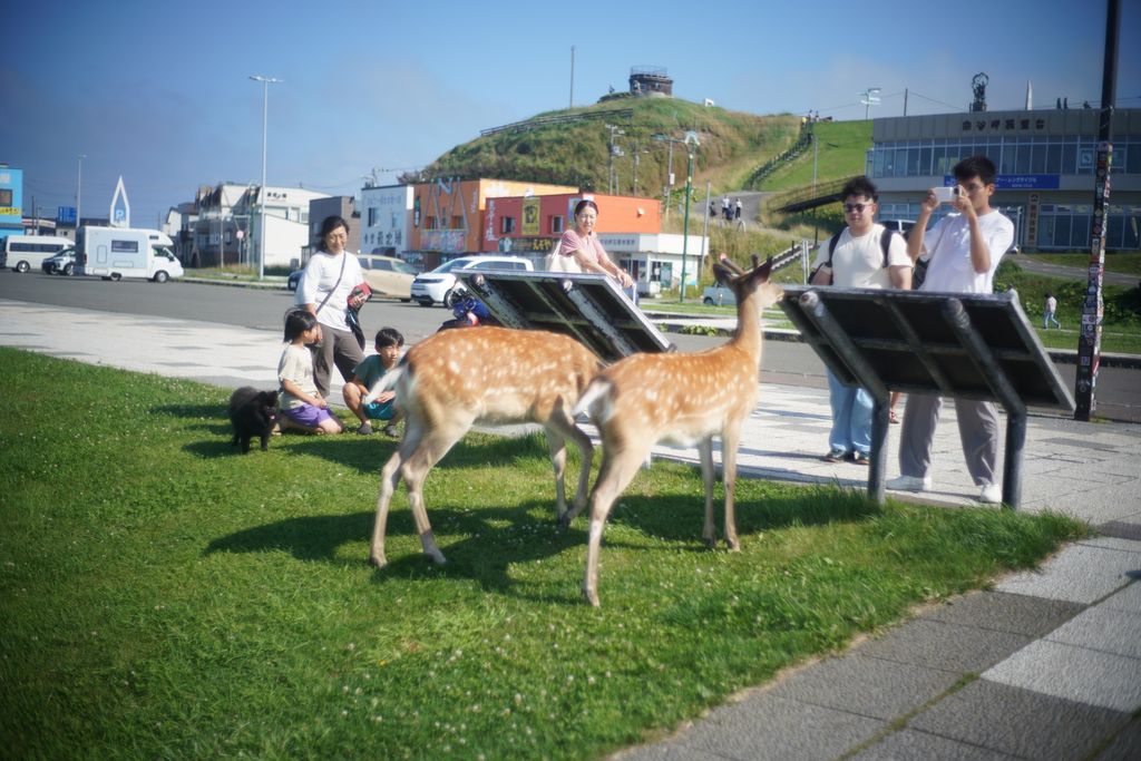 DSC08821.JPG