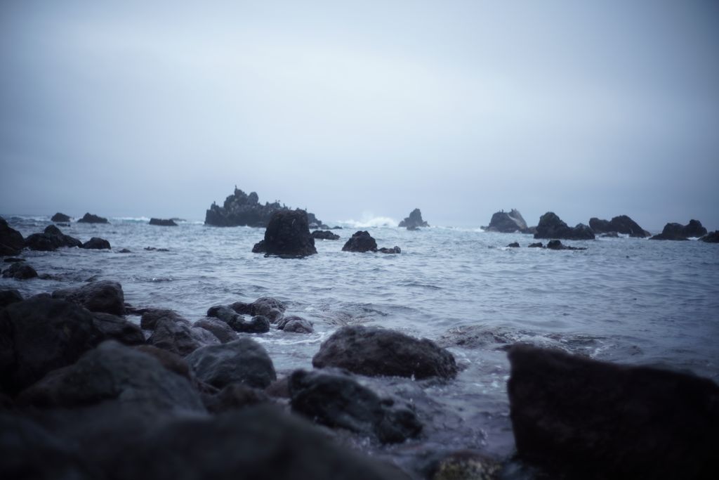 【写真】稚内・利尻・礼文の旅 ② 7/20-21（礼文島→稚内→宗谷岬）