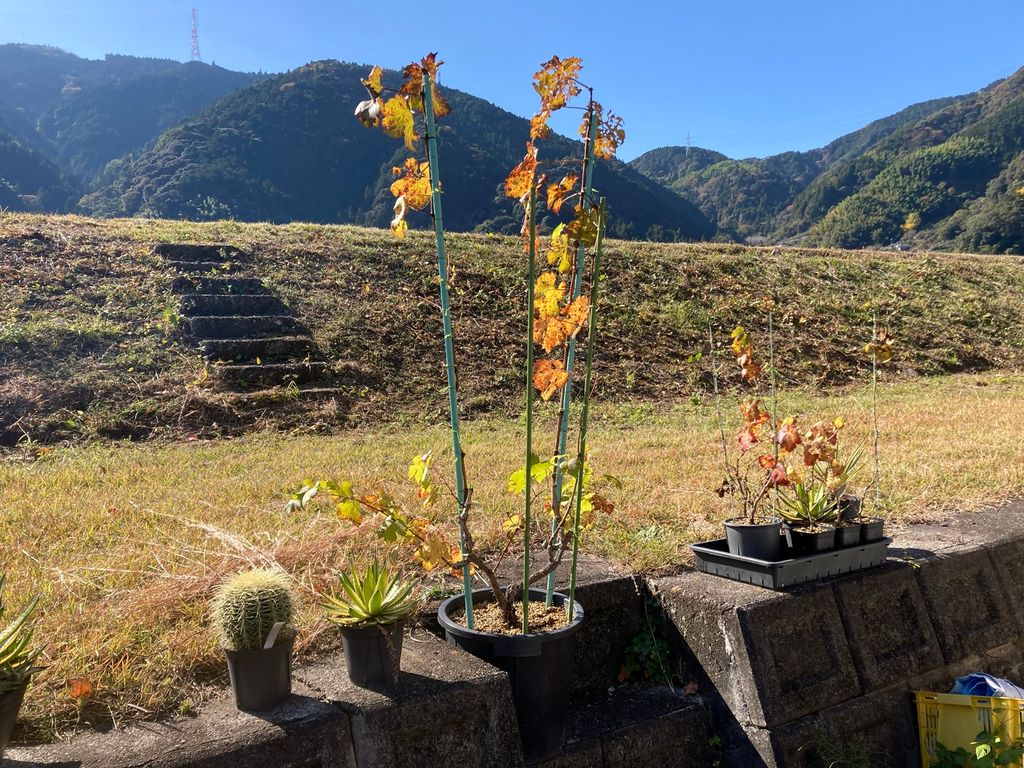 2026年4月 ビットコインニュース