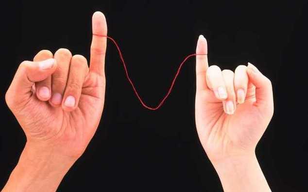 人間仮免中 二人の愛の形 二人だけの愛の形 人間仮免中つづき Movie Scoop