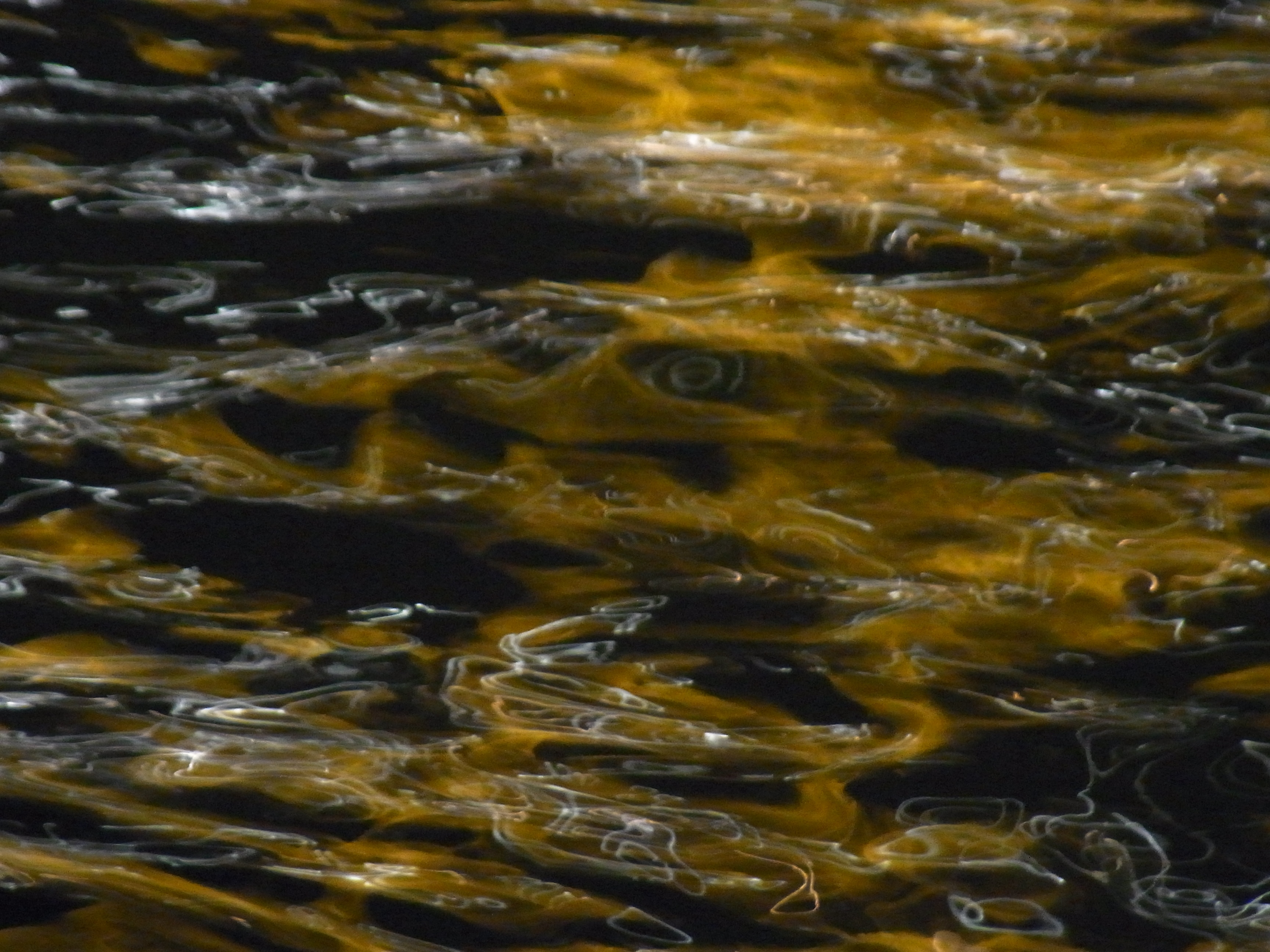 ゆれる 鈴木 渚