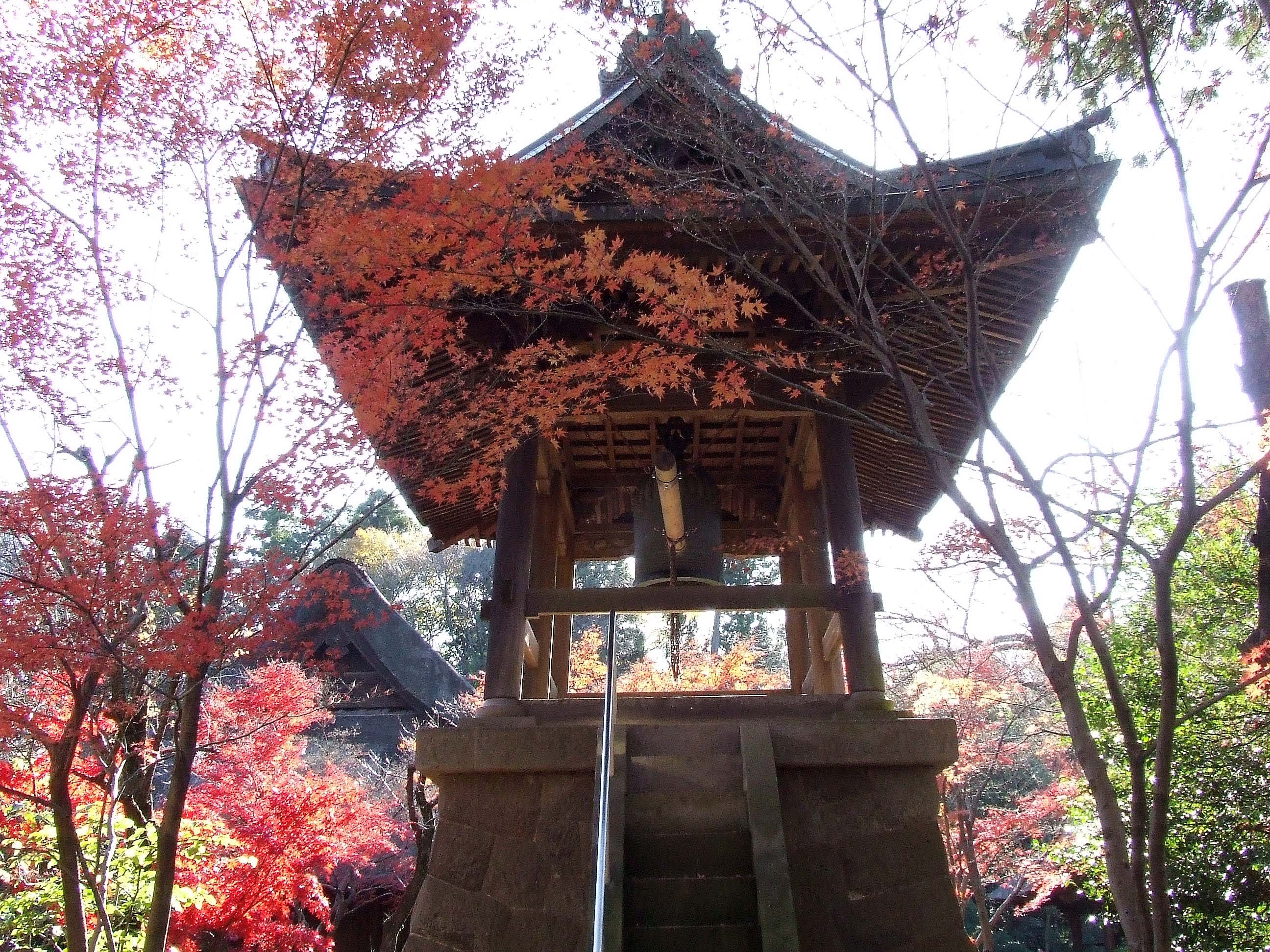 平林寺の紅葉 竜樹