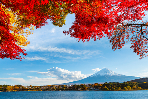 関東から日帰りで楽しめる紅葉スポット15選!ライトアップ情報も