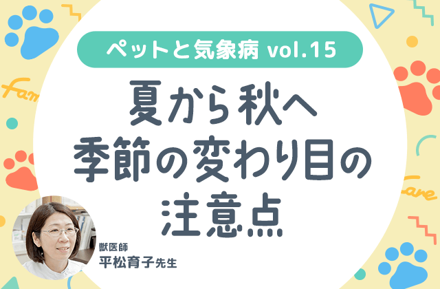 頭痛ーる｜ペットと気象病｜夏から秋にかけて季節の変わり目に気をつけたいこと