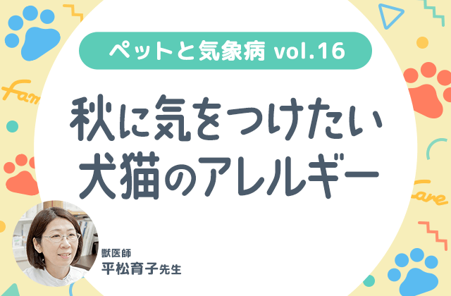 頭痛ーる｜ペットと気象病｜秋に気をつけたい犬猫のアレルギー原因とご家庭でできる対策