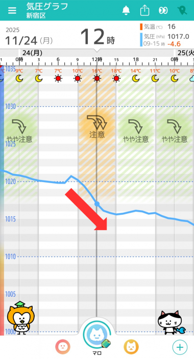 11月24日　東京の気圧グラフ