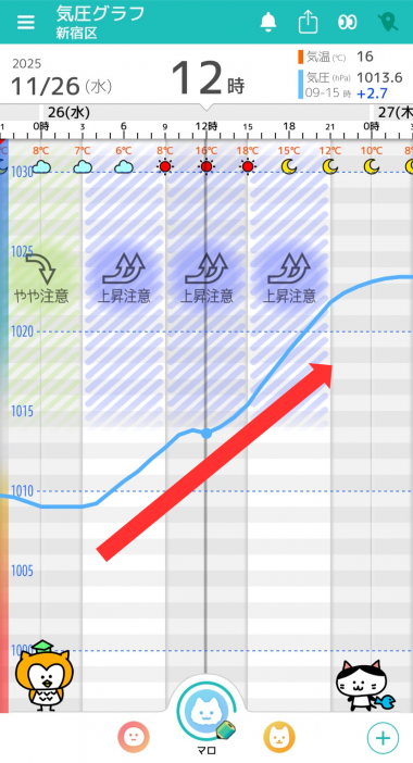 11月26日　東京の気圧グラフ