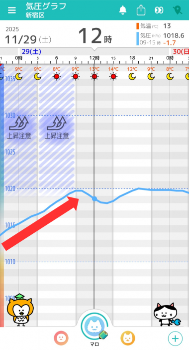 11月29日　東京の気圧グラフ