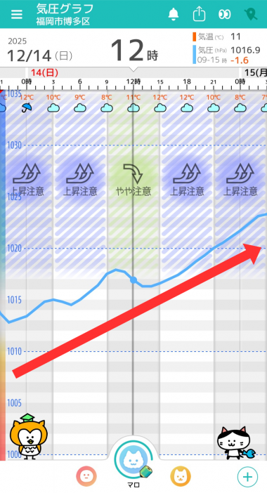 12月14日　福岡の気圧グラフ