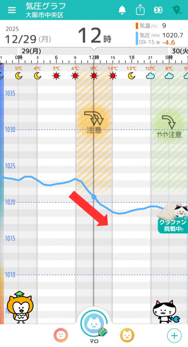 12月29日　大阪の気圧グラフ