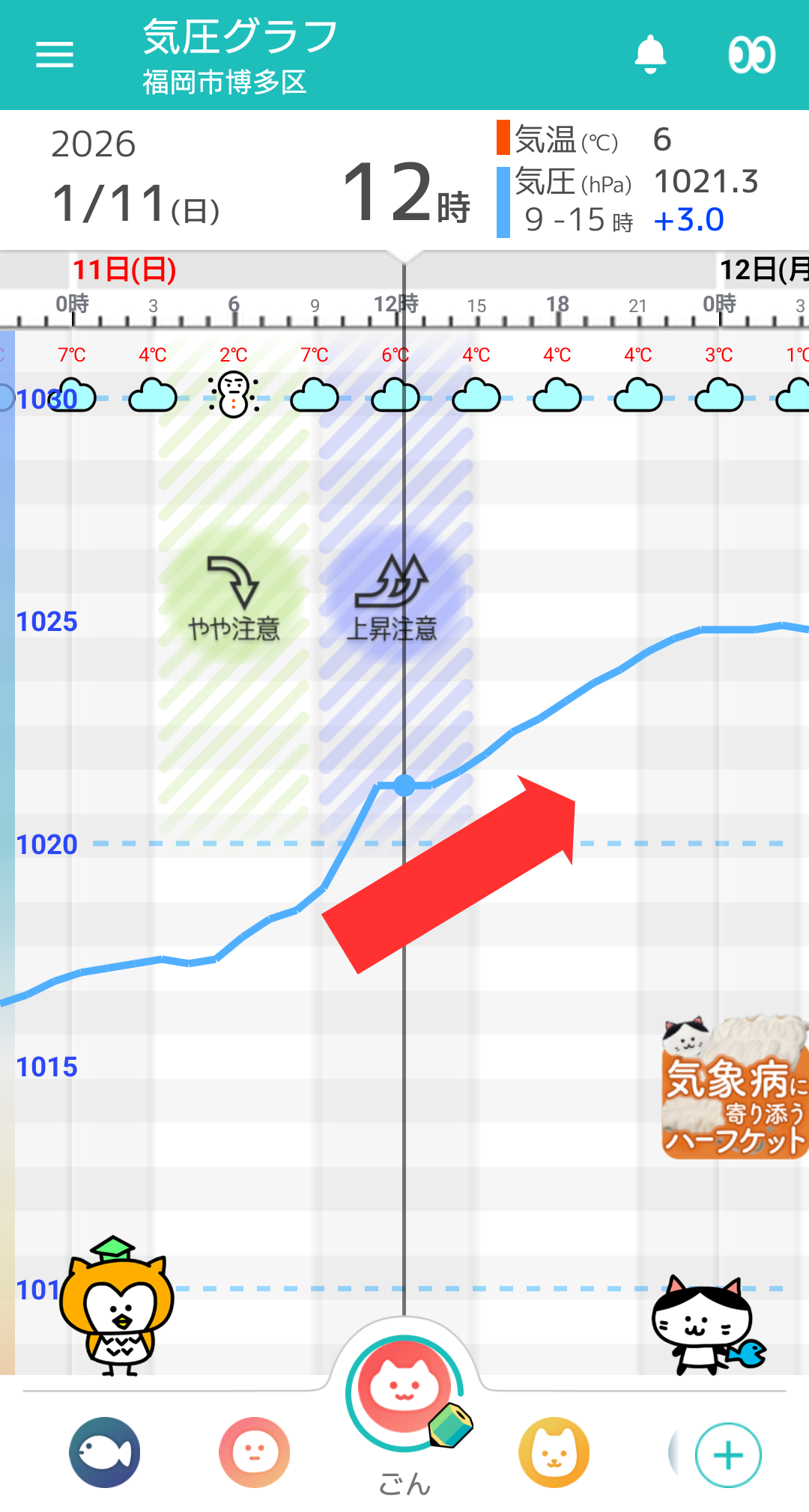 1月11日 福岡の気圧グラフ