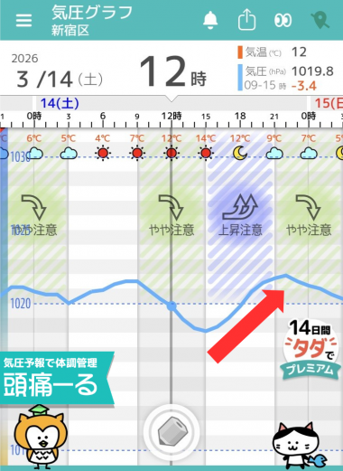 3月14日　東京の気圧グラフ