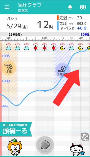 5月29日　東京の気圧グラフ