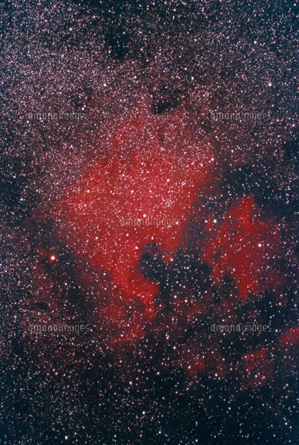 北アメリカ星雲
(c)YOSHINORI WATABE/SEBUN PHOTO