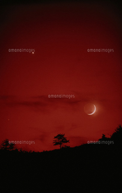 月と金星
(c)YOSHINORI WATABE/SEBUN PHOTO