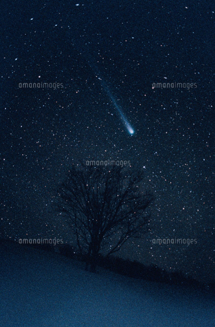 朝の百武彗星 新潟県
(c)YOSHINORI WATABE/SEBUN PHOTO