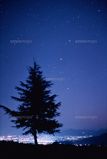 星空と夜景と1本の木 妙高村 新潟県
(c)YOSHINORI WATABE/SEBUN PHOTO