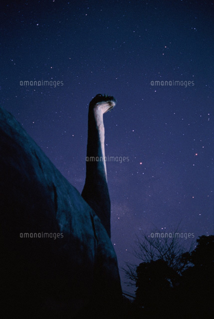 星空イメージ
(c)YOSHINORI WATABE/SEBUN PHOTO