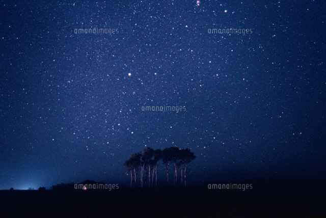 星空
(c)YOSHINORI WATABE/SEBUN PHOTO
