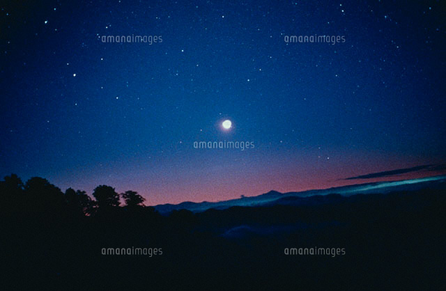 星空
(c)YOSHINORI WATABE/SEBUN PHOTO