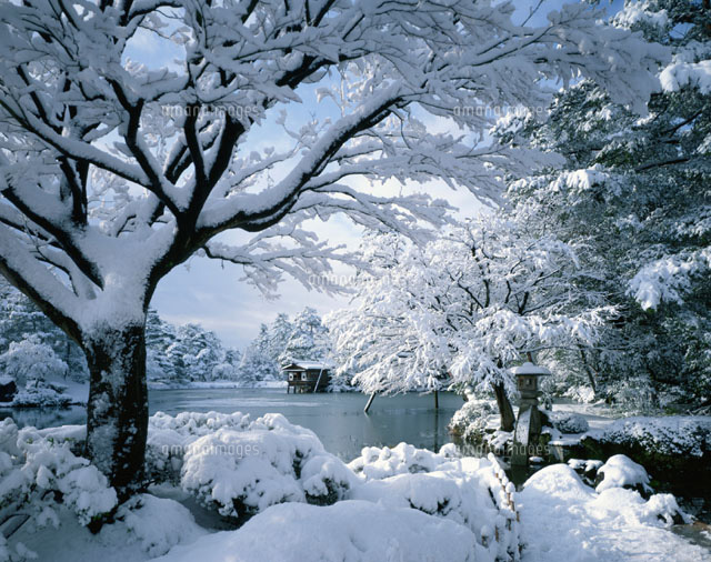 雪の金沢兼六園 金沢市 石川
(c)SIGEO MATSUNO/SEBUN PHOTO