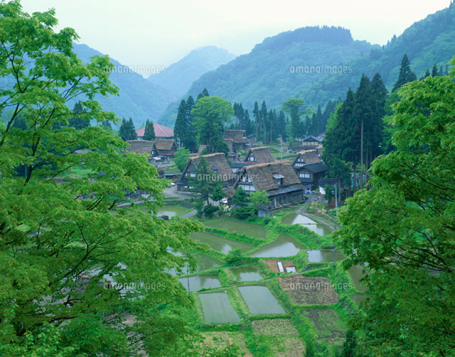 新緑の相倉合掌集落 平村 富山
(c)SIGEO MATSUNO/SEBUN PHOTO